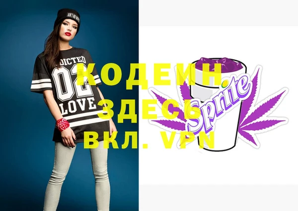 индика Вязники