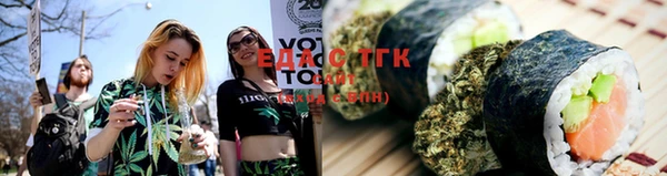 индика Вязники