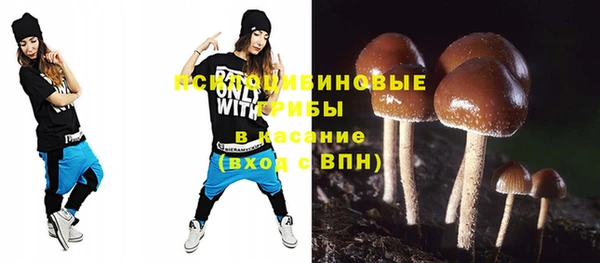 мяу мяу мука Вязьма