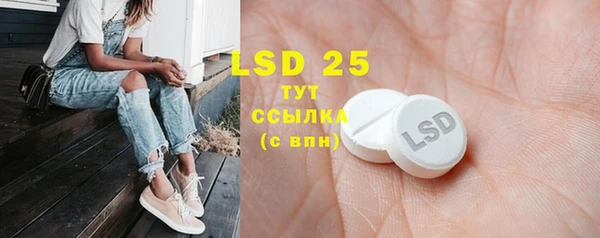 индика Вязники