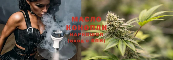 индика Вязники