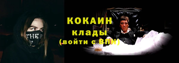 мяу мяу мука Вязьма