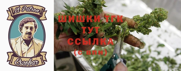 мяу мяу мука Вязьма